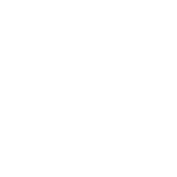 Active Pharmaceutical Ingredients (APIs)