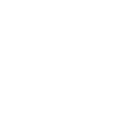 Pharmaceuticals & Therapeutics